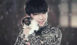 爆料勋鹿小故事视频大全,独家小故事视频大盘点